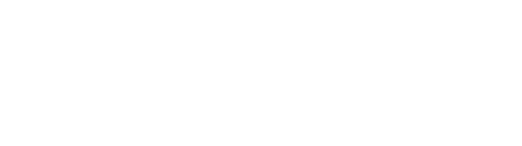 EyeLock Biometric Solutions